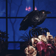 Image via Disney